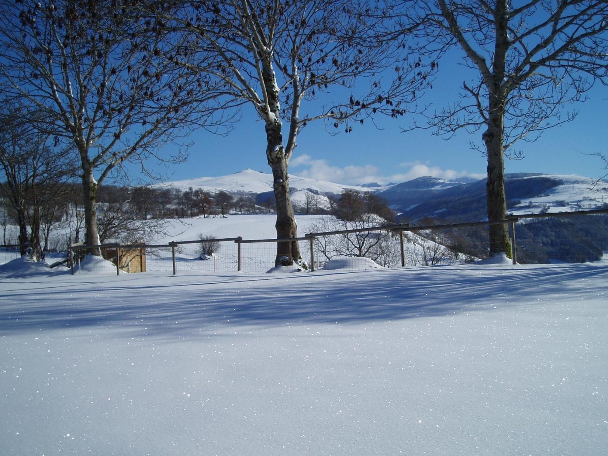 منزل الضيف Saint-Martin-Valmeroux  في Domaine De La Chaux De Revel المظهر الخارجي الصورة