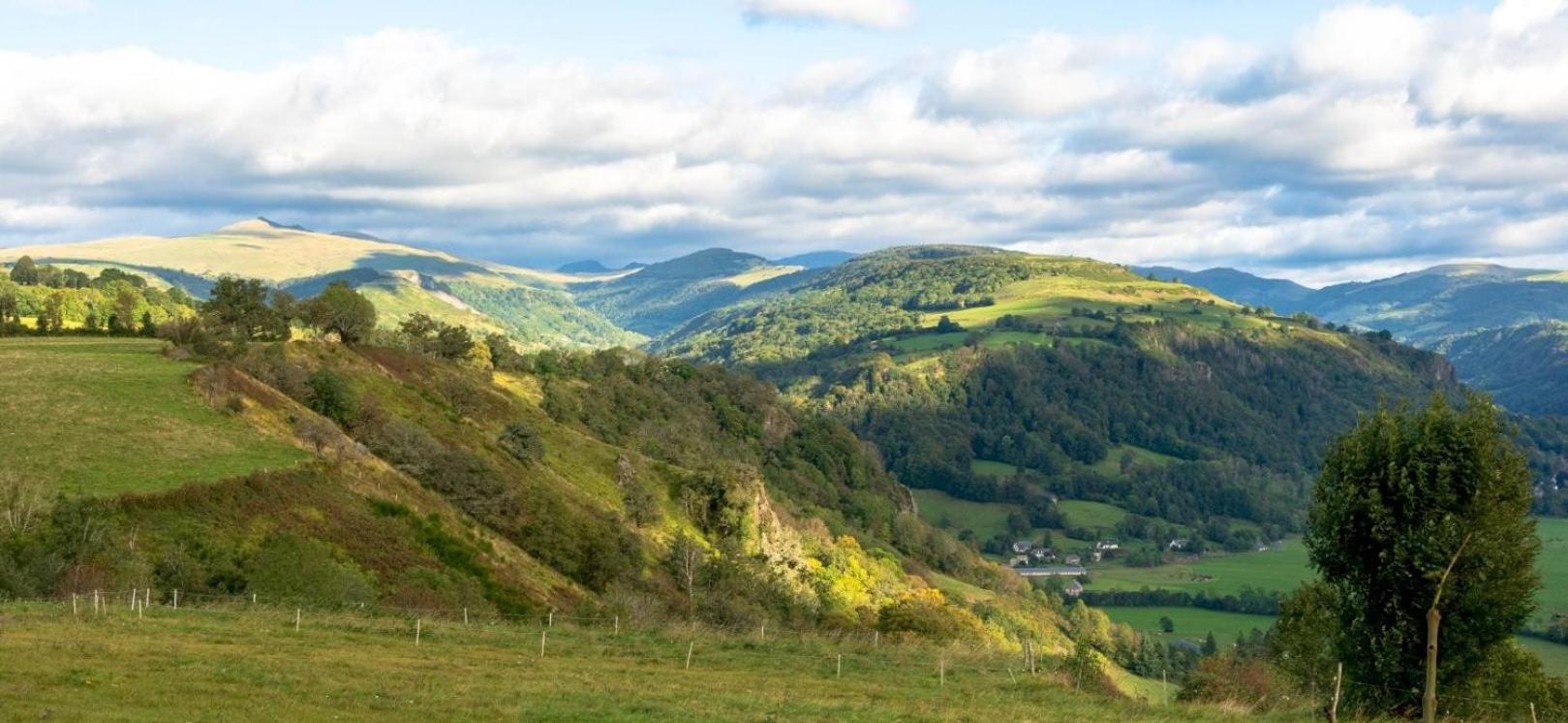 منزل الضيف Saint-Martin-Valmeroux  في Domaine De La Chaux De Revel المظهر الخارجي الصورة