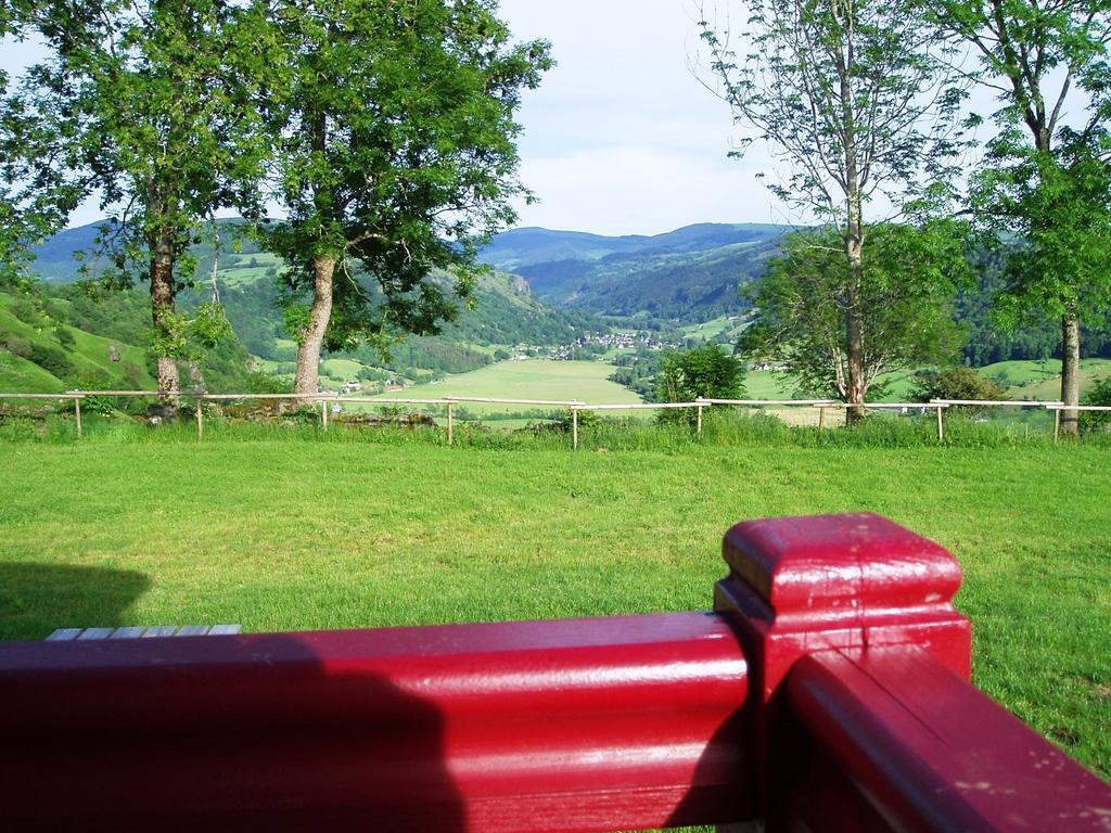 منزل الضيف Saint-Martin-Valmeroux  في Domaine De La Chaux De Revel المظهر الخارجي الصورة